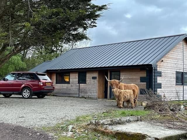 Hayfield  New Build Lodge With Stunning Views Of Loch Awe מראה חיצוני תמונה